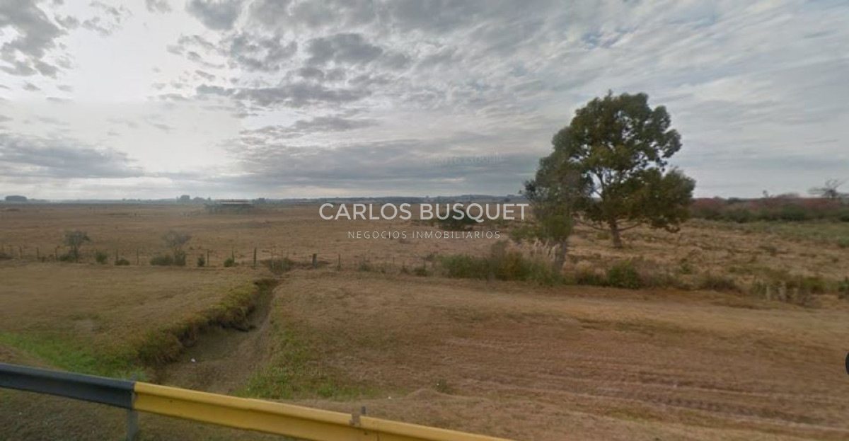 Chacra ID.1195 - Logística, Galpones sobreR.39, Oportunidad Inversores