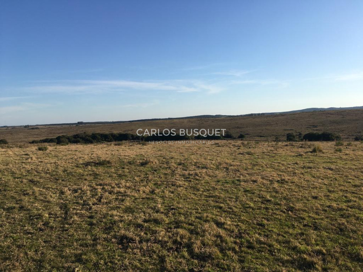 Campo Ref.1168 - Campo en venta de 104 Has en Garzon