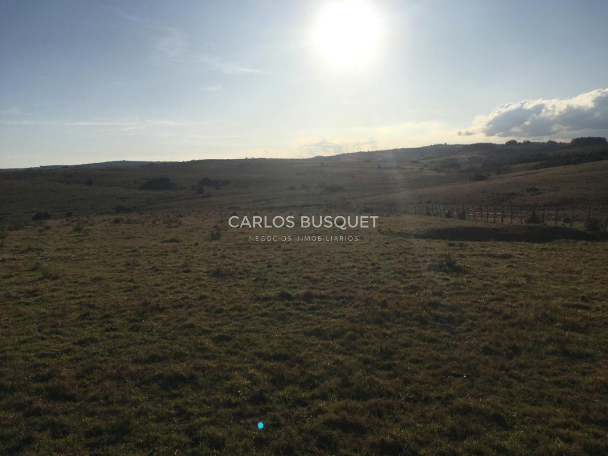 Campo Ref.1168 - Campo en venta de 104 Has en Garzon