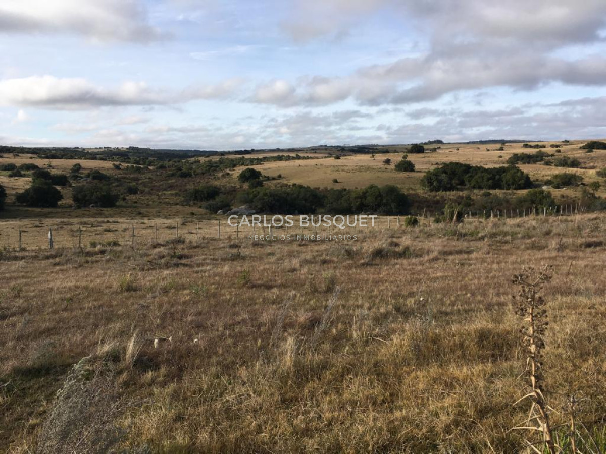 Campo Ref.1168 - Campo en venta de 104 Has en Garzon