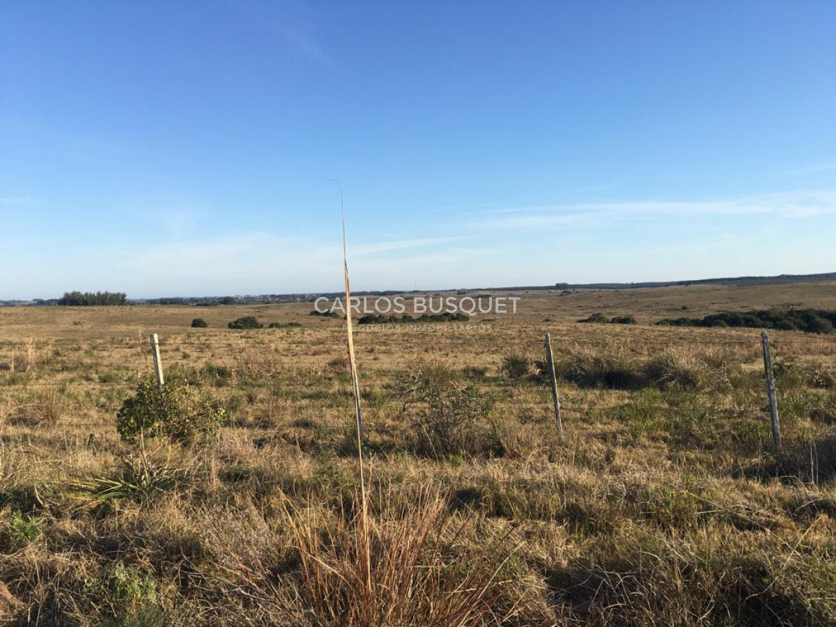 Campo Ref.1168 - Campo en venta de 104 Has en Garzon