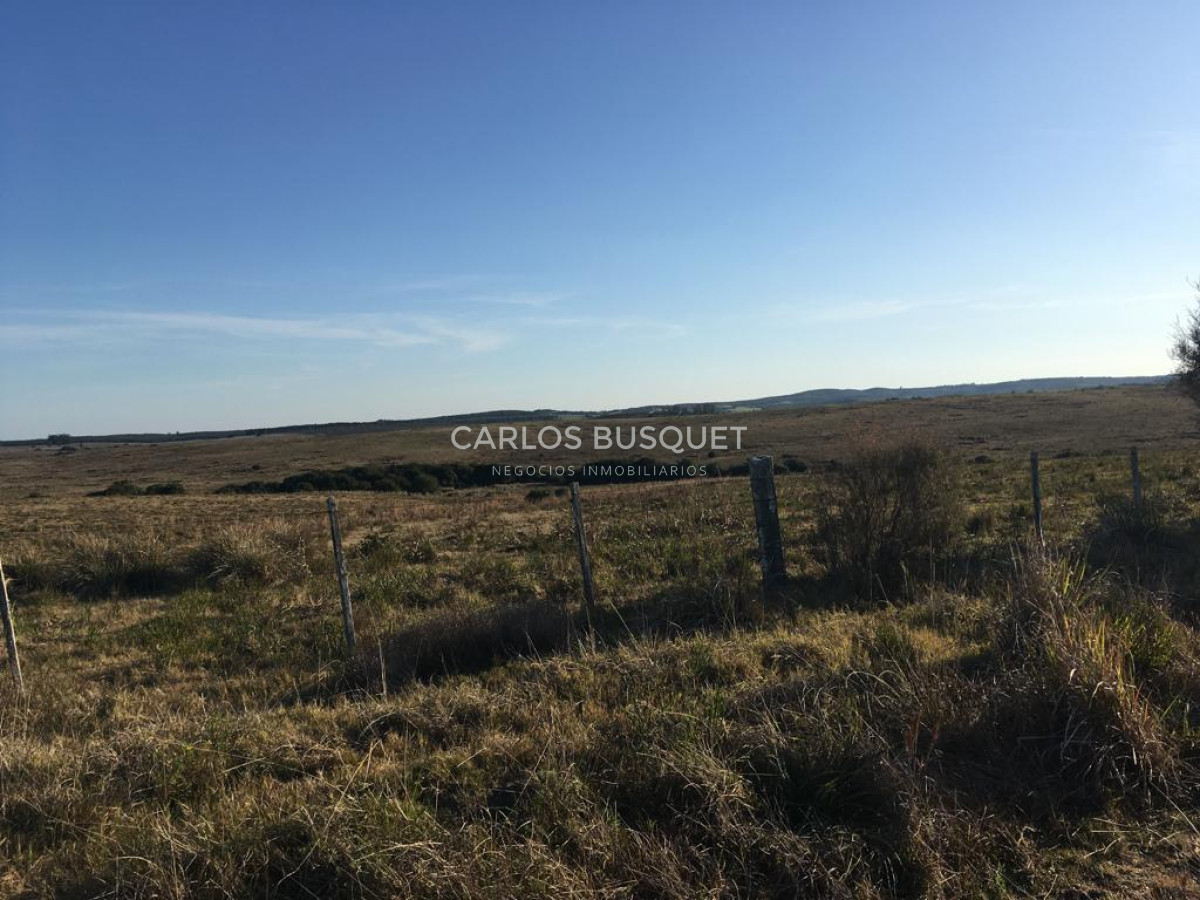 Campo Ref.1168 - Campo en venta de 104 Has en Garzon