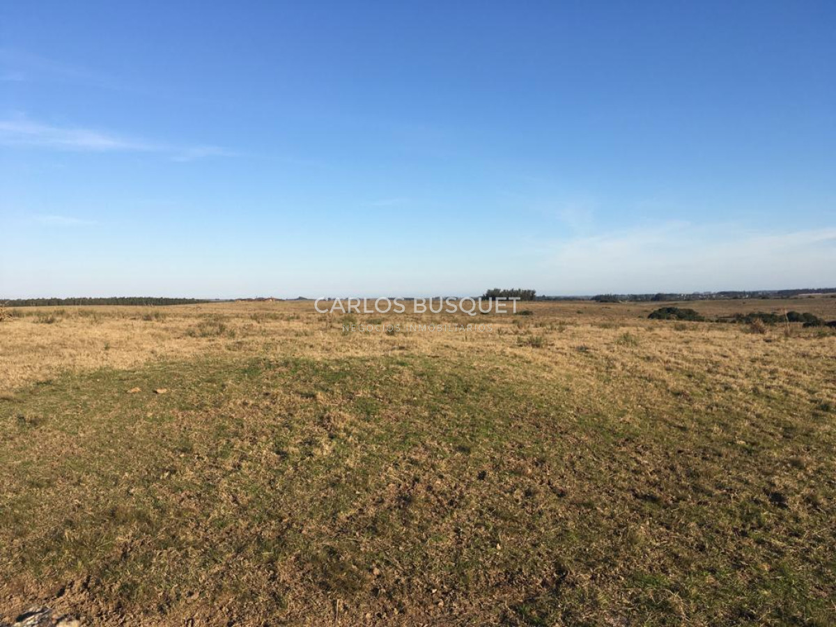 Campo Ref.1168 - Campo en venta de 104 Has en Garzon