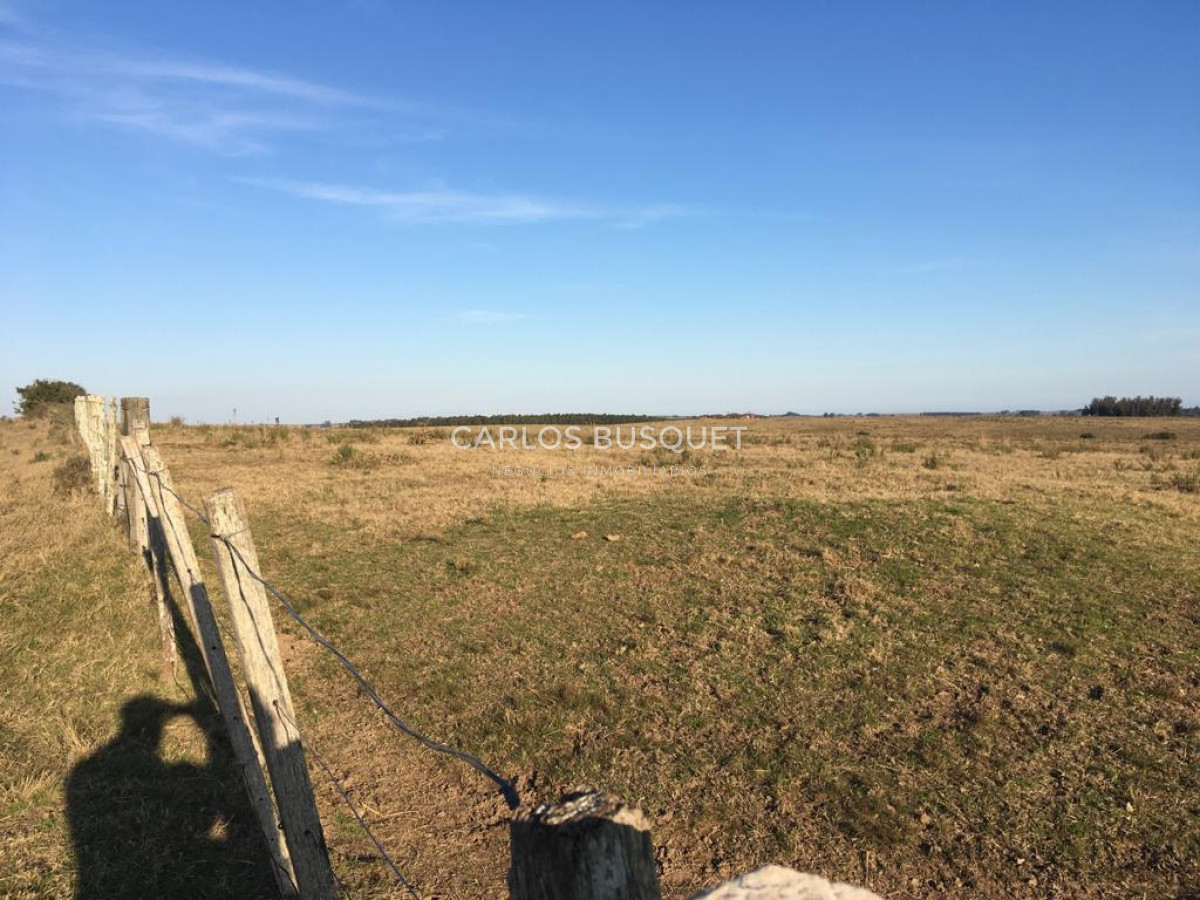 Campo Ref.1168 - Campo en venta de 104 Has en Garzon