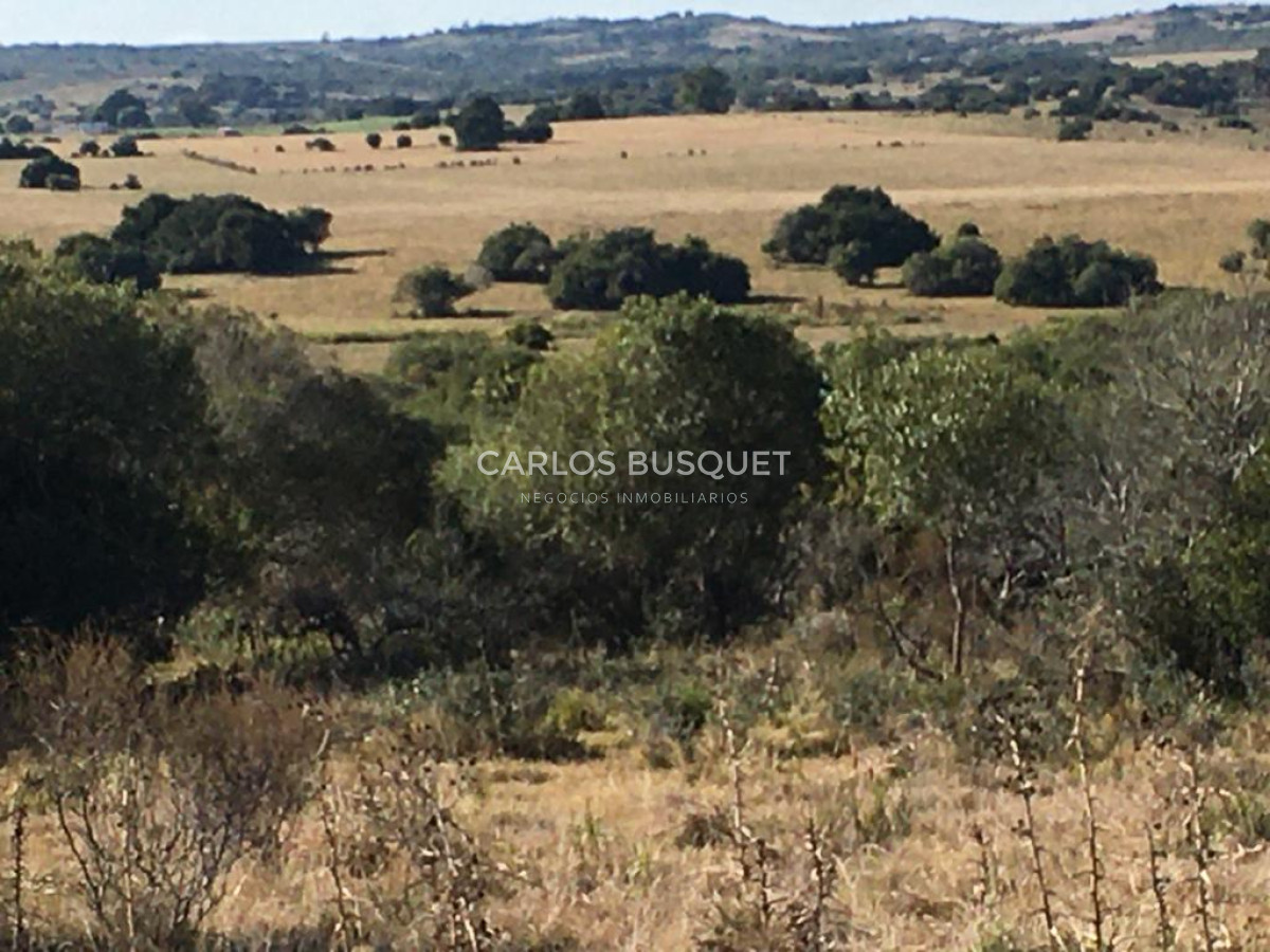 Campo Ref.1168 - Campo en venta de 104 Has en Garzon