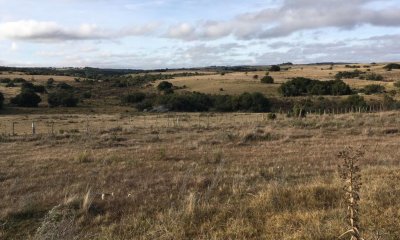 Campo en venta de 104 Has en Garzon