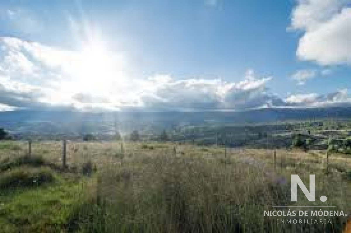 Zona Rural - GoPunta - Portal Inmobiliario de Punta del Este - Maldonado