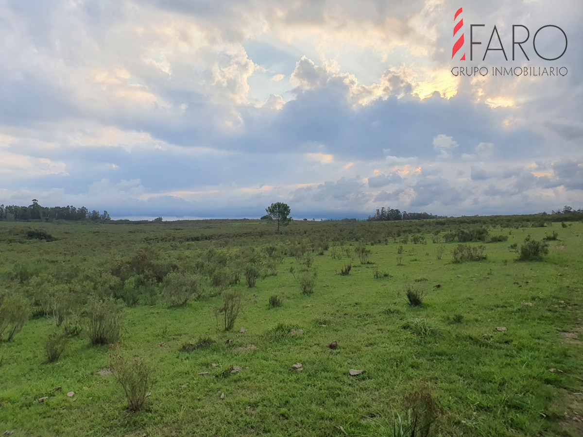Paraje El Renegado - GoPunta - Portal Inmobiliario de Punta del Este - Maldonado