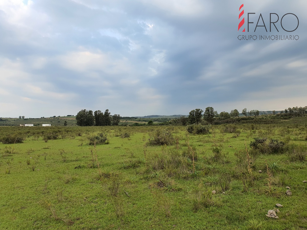 Paraje El Renegado - GoPunta - Portal Inmobiliario de Punta del Este - Maldonado