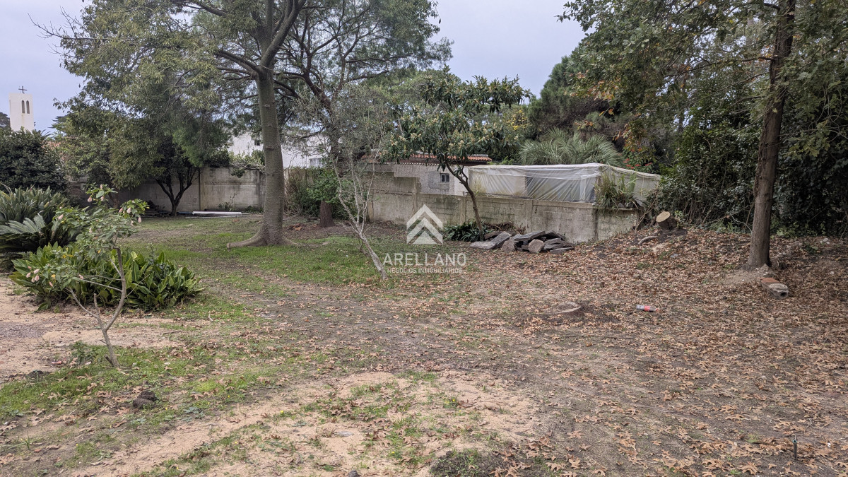 Terreno ID.6187 - Venta de terreno en San Rafael a 600 mts de la playa Brava Punta del Este 