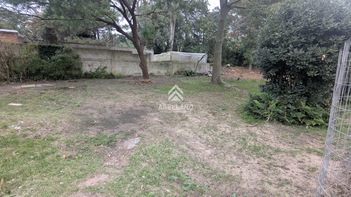 Terreno ID.6187 - Venta de terreno en San Rafael a 600 mts de la playa Brava Punta del Este 