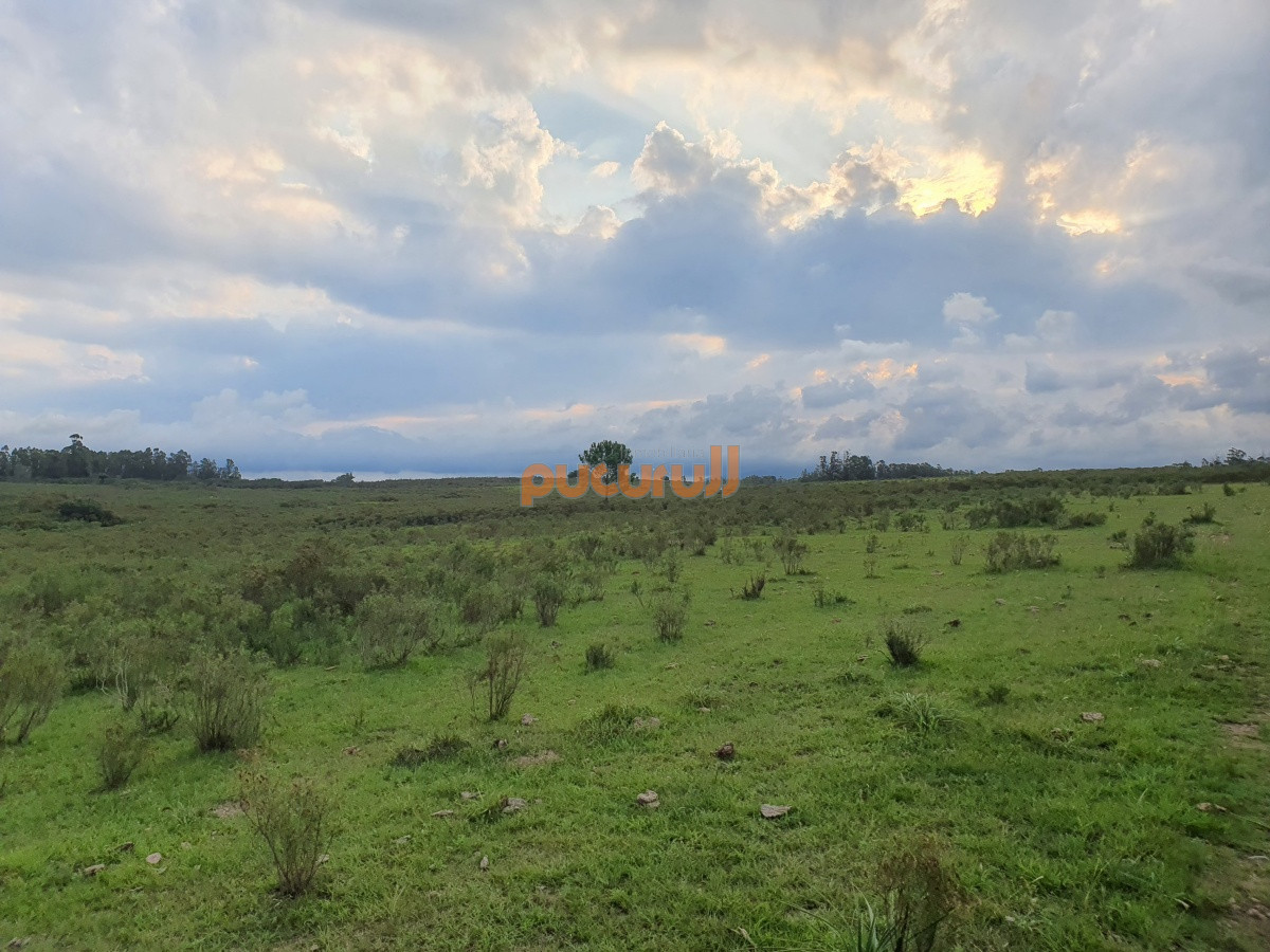 Paraje El Renegado - GoPunta - Portal Inmobiliario de Punta del Este - Maldonado