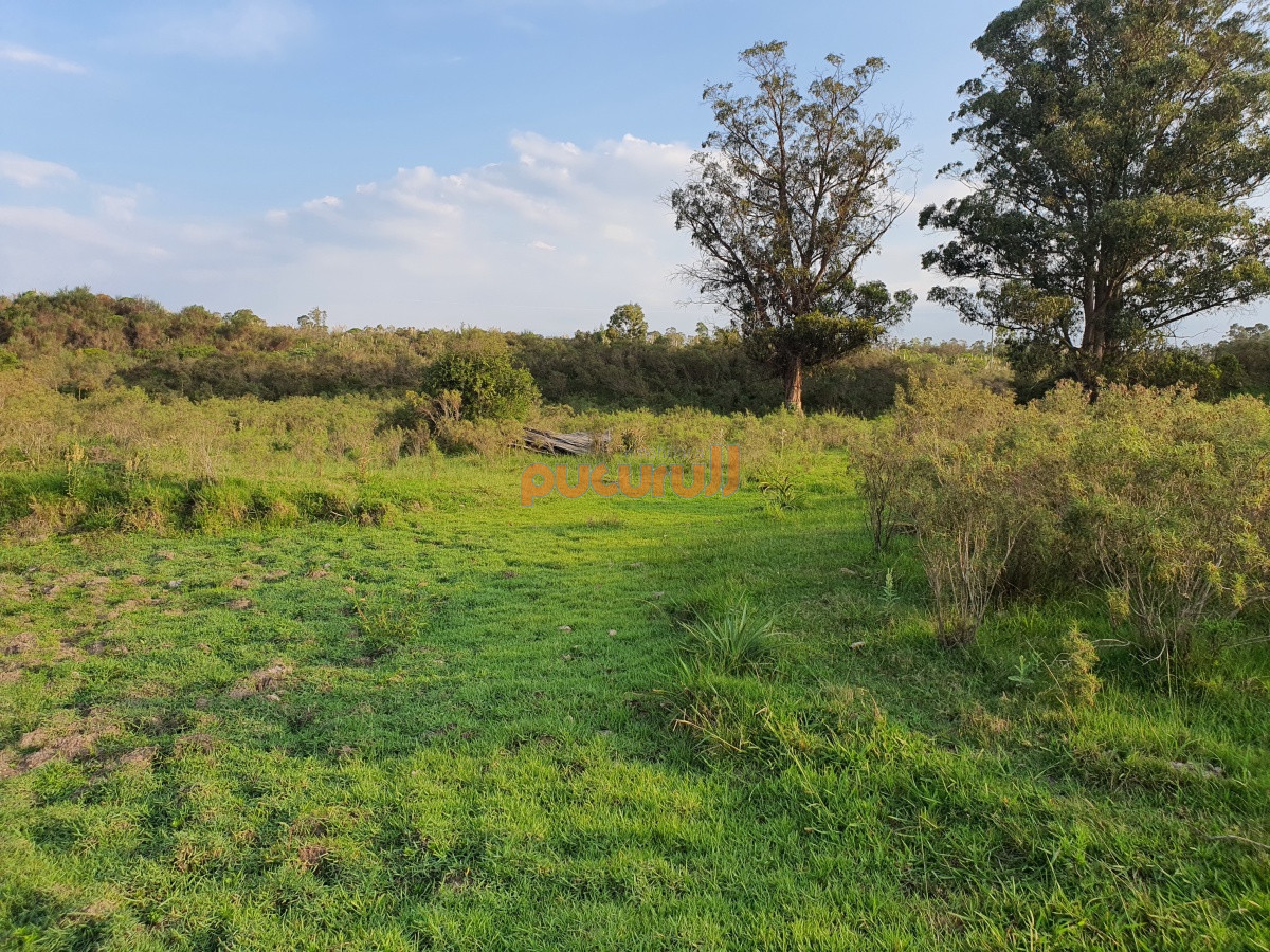 Paraje El Renegado - GoPunta - Portal Inmobiliario de Punta del Este - Maldonado
