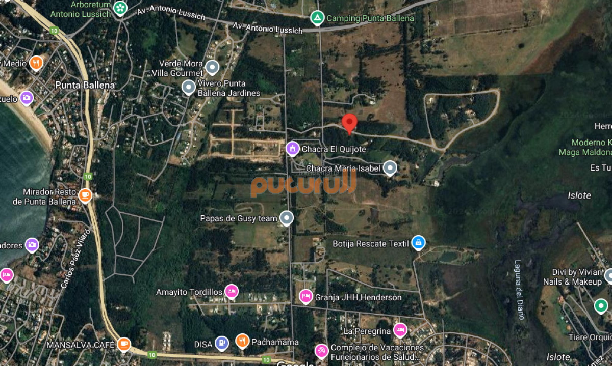 Terreno ID.2058 - Vendo terreno de 1 hectárea tipo chacra en Laguna del Diario, Punta del Este