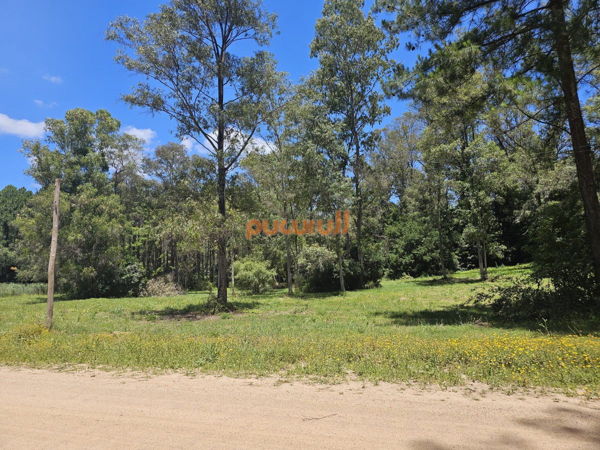 Terreno ID.2058 - Vendo terreno de 1 hectárea tipo chacra en Laguna del Diario, Punta del Este
