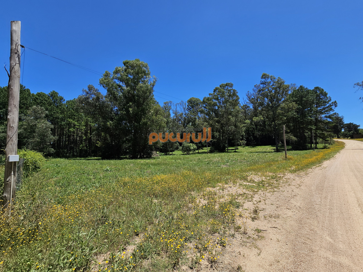 Terreno ID.2058 - Vendo terreno de 1 hectárea tipo chacra en Laguna del Diario, Punta del Este