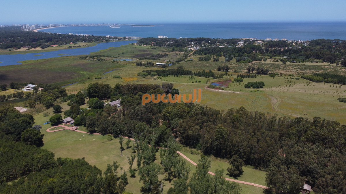 Terreno ID.2058 - Vendo terreno de 1 hectárea tipo chacra en Laguna del Diario, Punta del Este