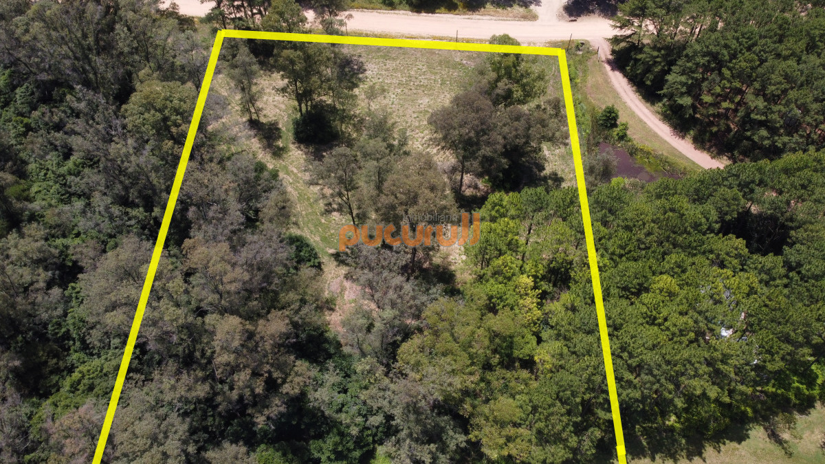 Terreno ID.2058 - Vendo terreno de 1 hectárea tipo chacra en Laguna del Diario, Punta del Este