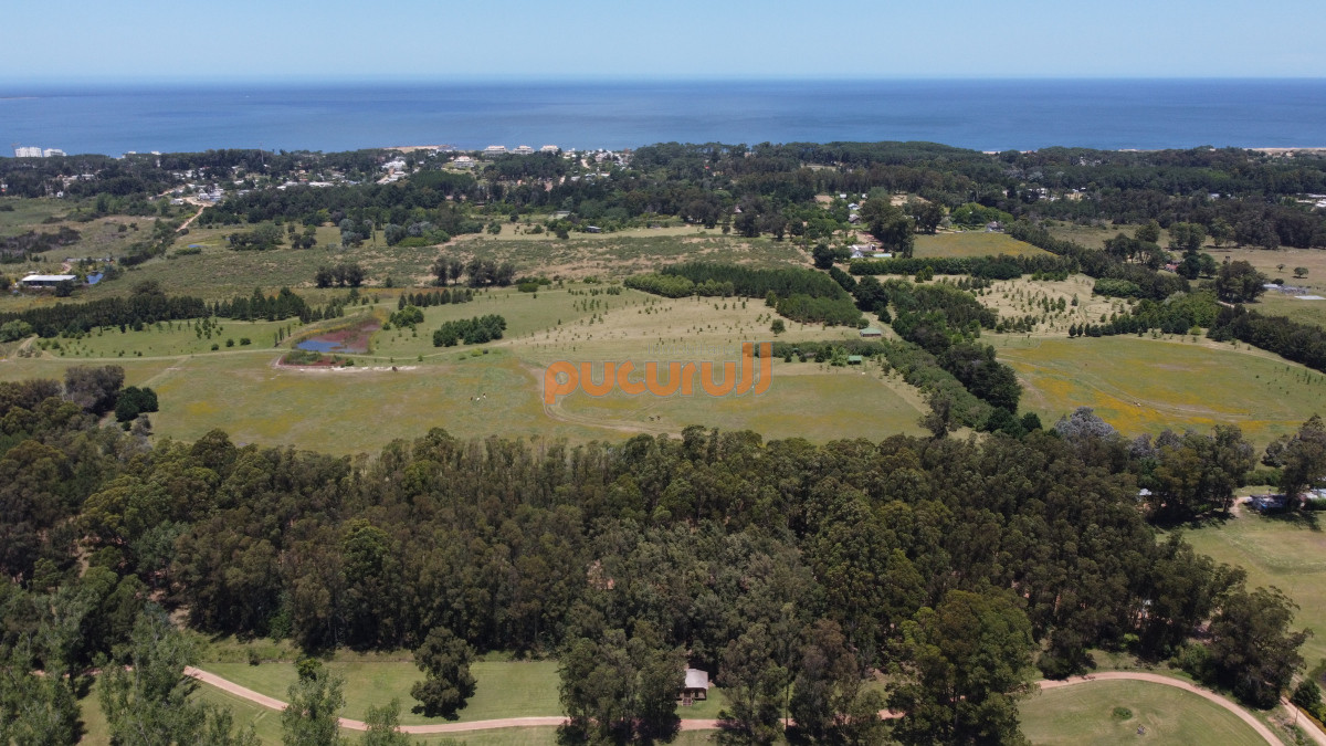 Terreno ID.2058 - Vendo terreno de 1 hectárea tipo chacra en Laguna del Diario, Punta del Este