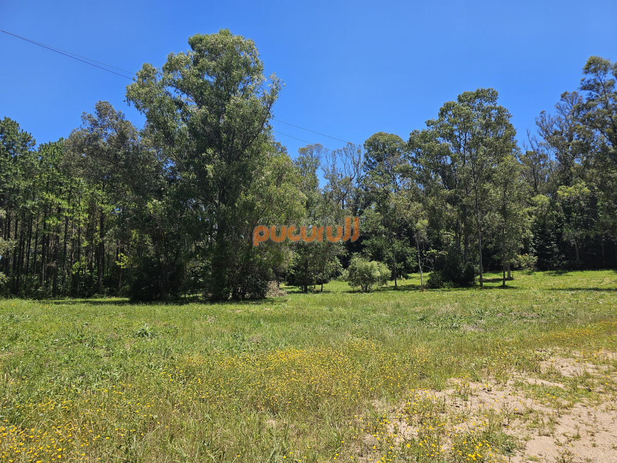 Terreno ID.2058 - Vendo terreno de 1 hectárea tipo chacra en Laguna del Diario, Punta del Este