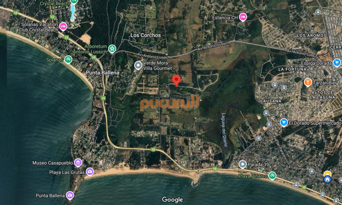 Terreno ID.2058 - Vendo terreno de 1 hectárea tipo chacra en Laguna del Diario, Punta del Este