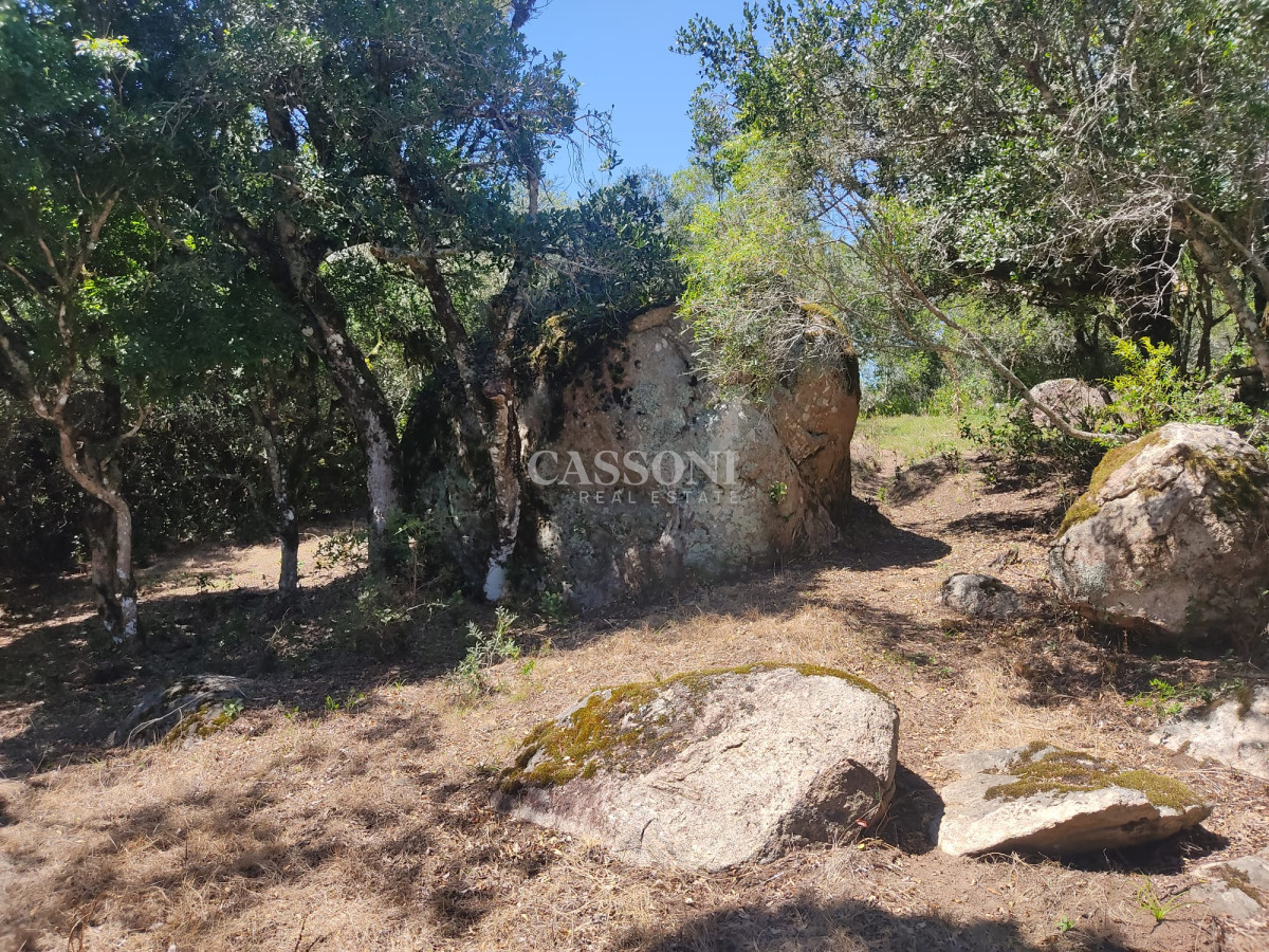 Campo Ref.4618 - Un lugar único en el punto mas alto del país, 76 Has Sierras, Paz y Vistas Increíbles !
