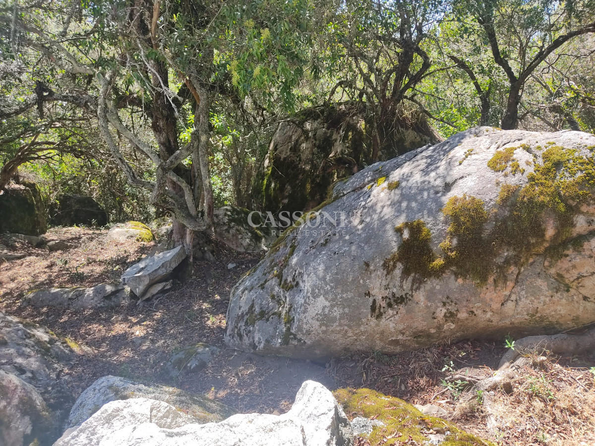 Campo Ref.4618 - Un lugar único en el punto mas alto del país, 76 Has Sierras, Paz y Vistas Increíbles !