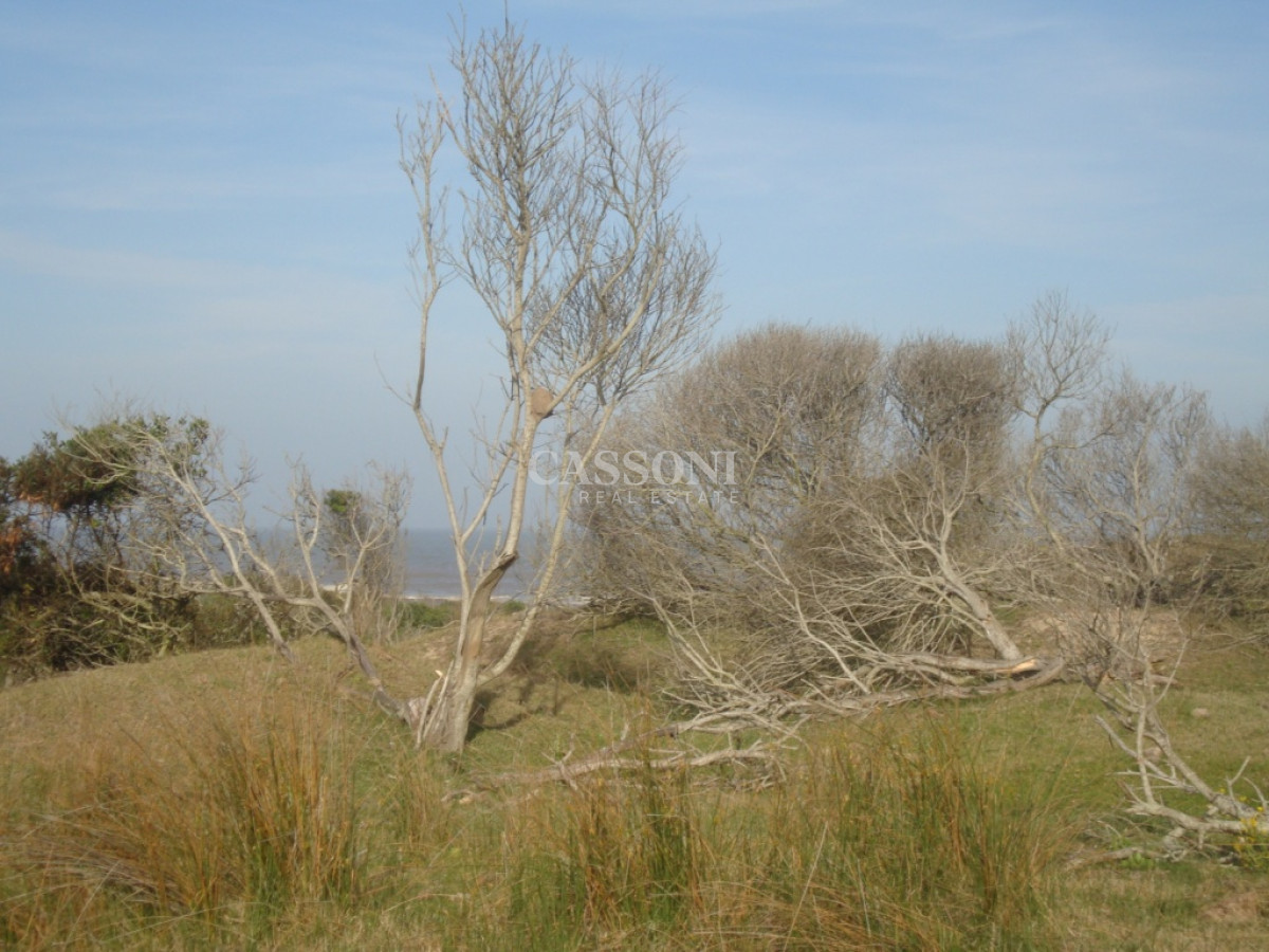 Campo Ref.4616 - Ultimas 70 Has con títulos, Única fracción con Costa al Mar Directo ! 