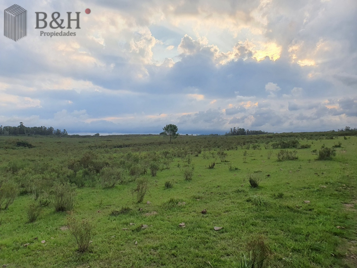 Paraje El Renegado - GoPunta - Portal Inmobiliario de Punta del Este - Maldonado