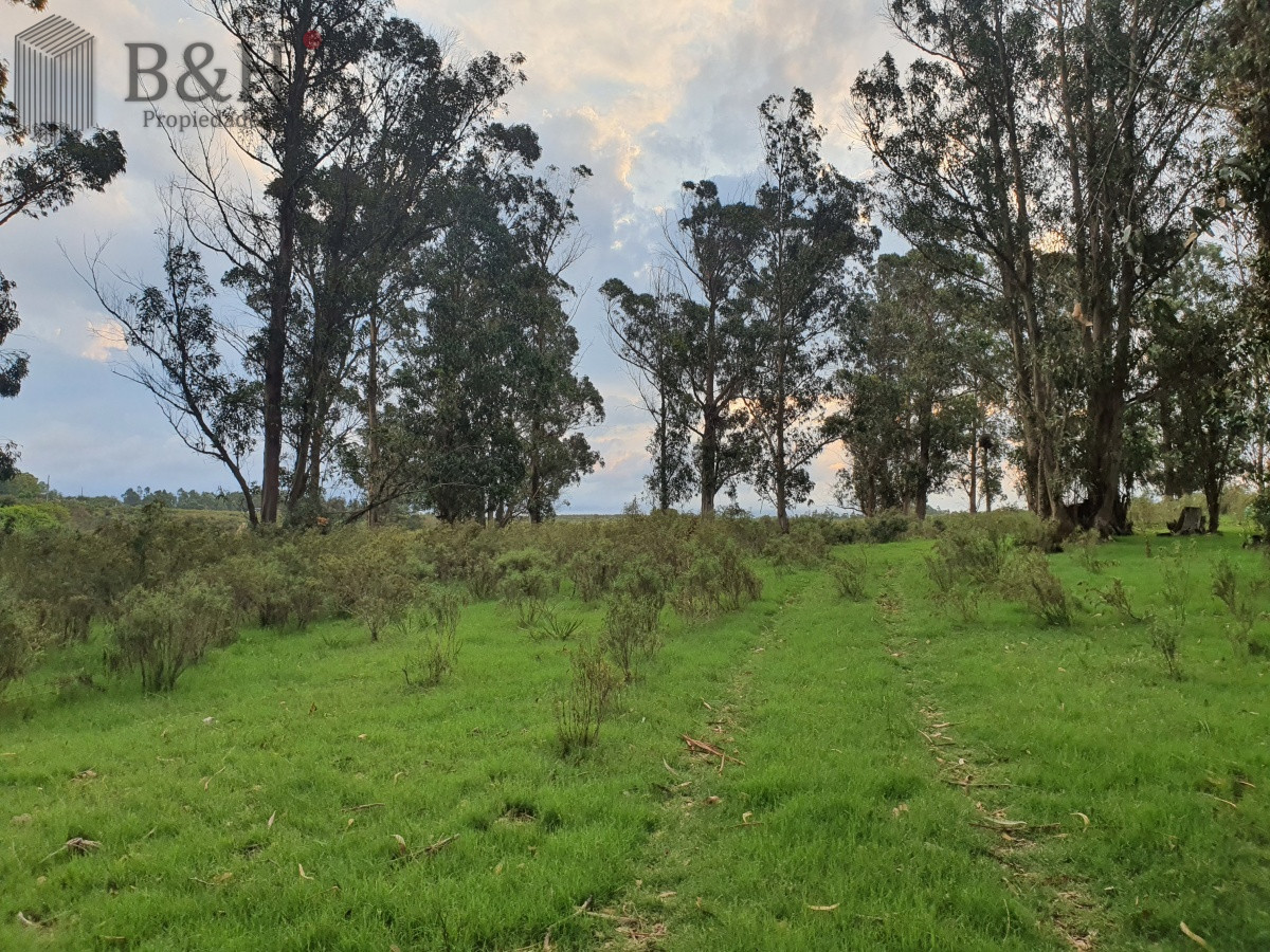 Paraje El Renegado - GoPunta - Portal Inmobiliario de Punta del Este - Maldonado