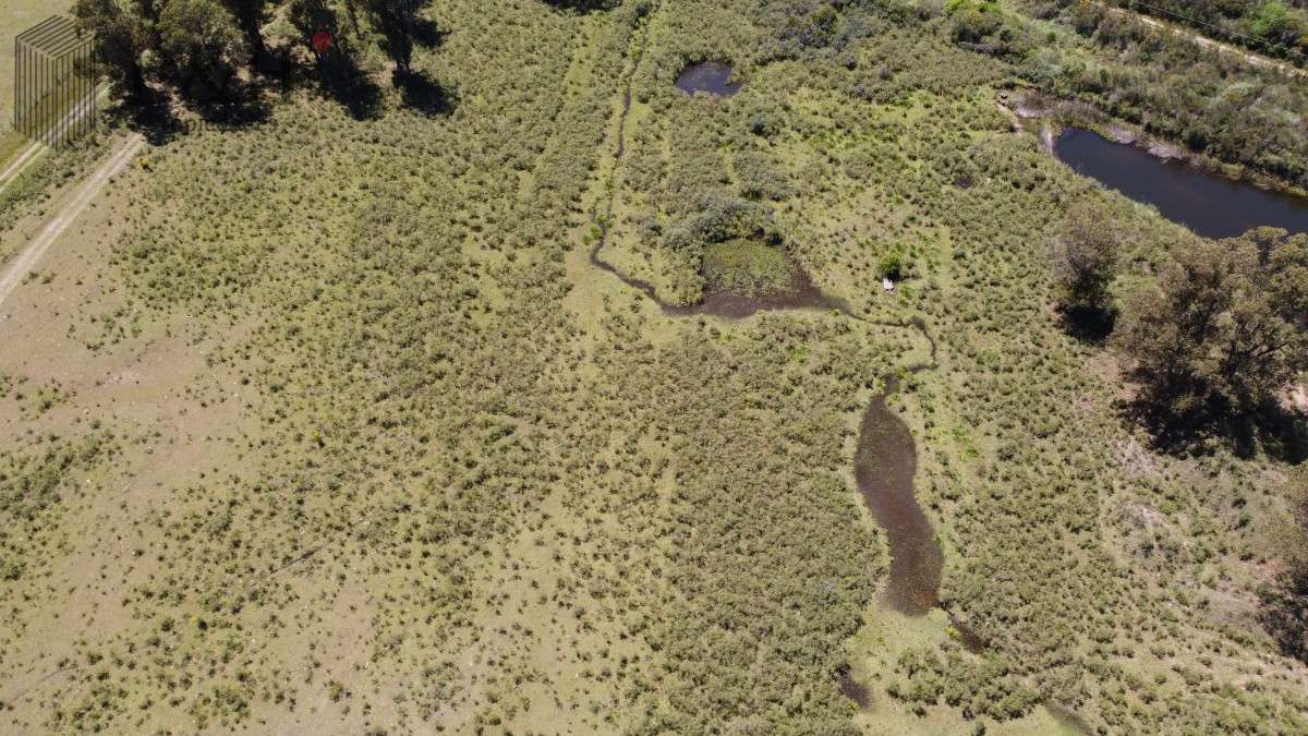 Chacra ID.5343 - Vendo chacra ruta 9, cerca de Pan de Azúcar, Maldonado. A 45´ de Punta del Este. Financia.