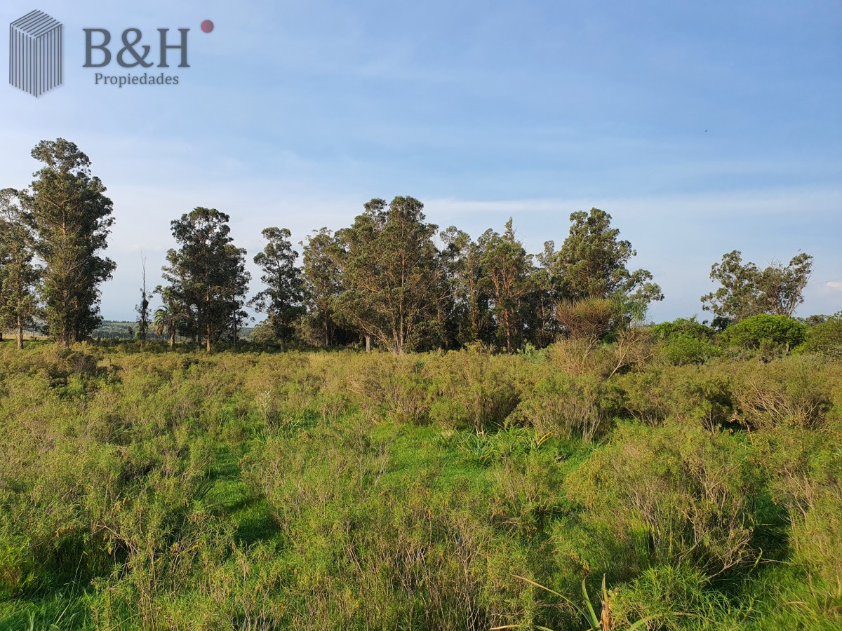 Paraje El Renegado - GoPunta - Portal Inmobiliario de Punta del Este - Maldonado