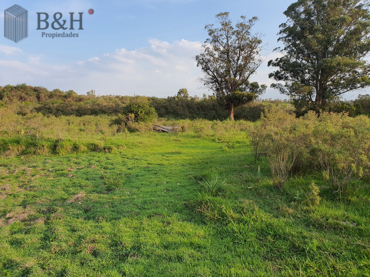 Paraje El Renegado - GoPunta - Portal Inmobiliario de Punta del Este - Maldonado