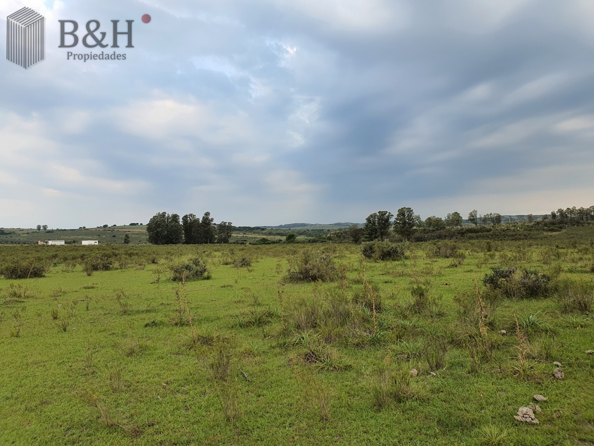 Chacra ID.5343 - Vendo chacra ruta 9, cerca de Pan de Azúcar, Maldonado. A 45´ de Punta del Este. Financia.