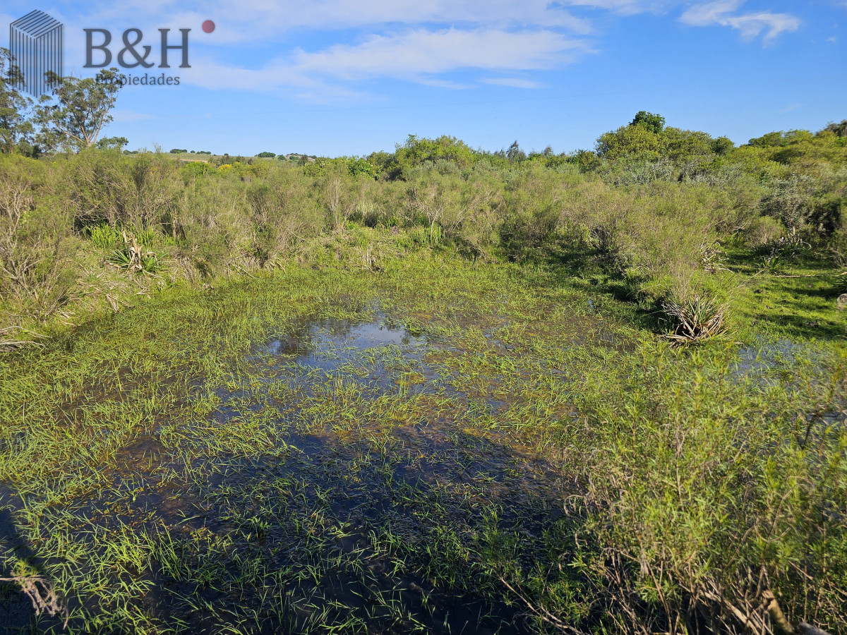 Chacra ID.5343 - Vendo chacra ruta 9, cerca de Pan de Azúcar, Maldonado. A 45´ de Punta del Este. Financia.