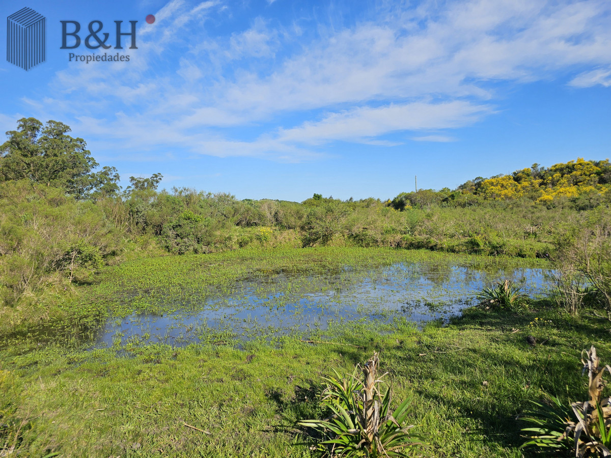 Chacra ID.5343 - Vendo chacra ruta 9, cerca de Pan de Azúcar, Maldonado. A 45´ de Punta del Este. Financia.