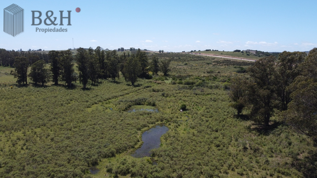Chacra ID.5343 - Vendo chacra ruta 9, cerca de Pan de Azúcar, Maldonado. A 45´ de Punta del Este. Financia.