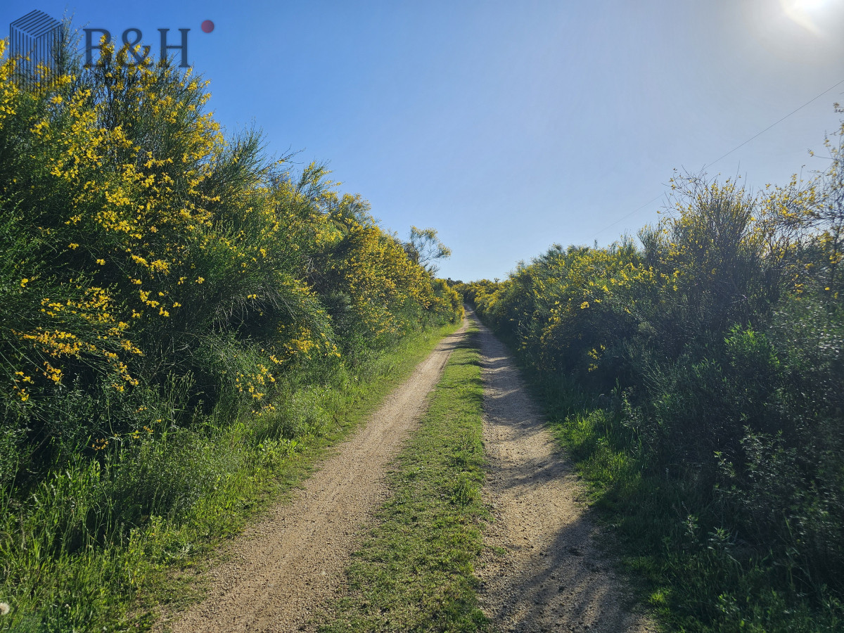 Chacra ID.5343 - Vendo chacra ruta 9, cerca de Pan de Azúcar, Maldonado. A 45´ de Punta del Este. Financia.