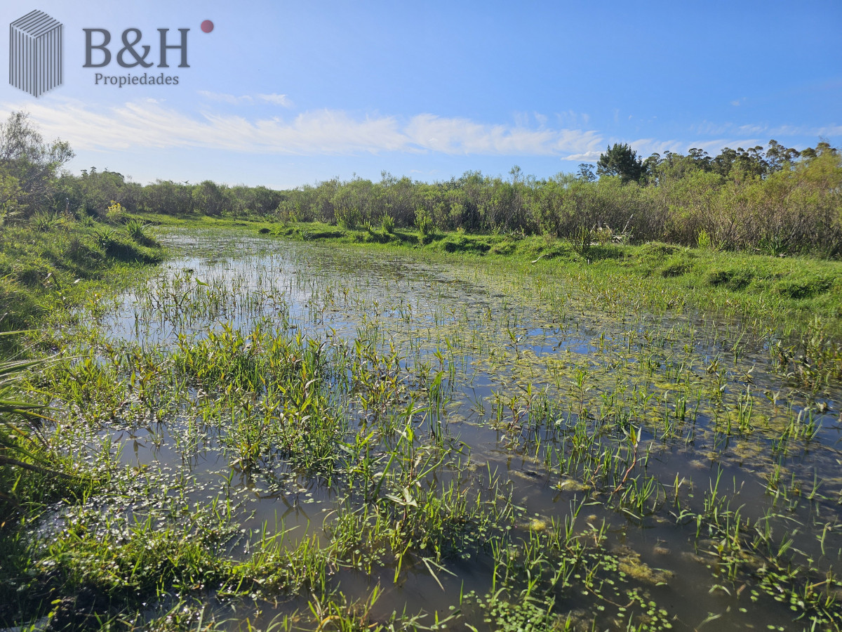 Chacra ID.5343 - Vendo chacra ruta 9, cerca de Pan de Azúcar, Maldonado. A 45´ de Punta del Este. Financia.
