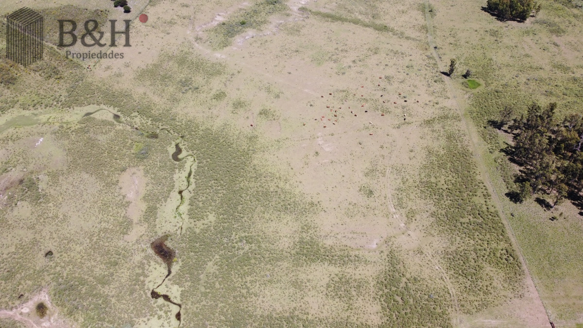 Chacra ID.5343 - Vendo chacra ruta 9, cerca de Pan de Azúcar, Maldonado. A 45´ de Punta del Este. Financia.