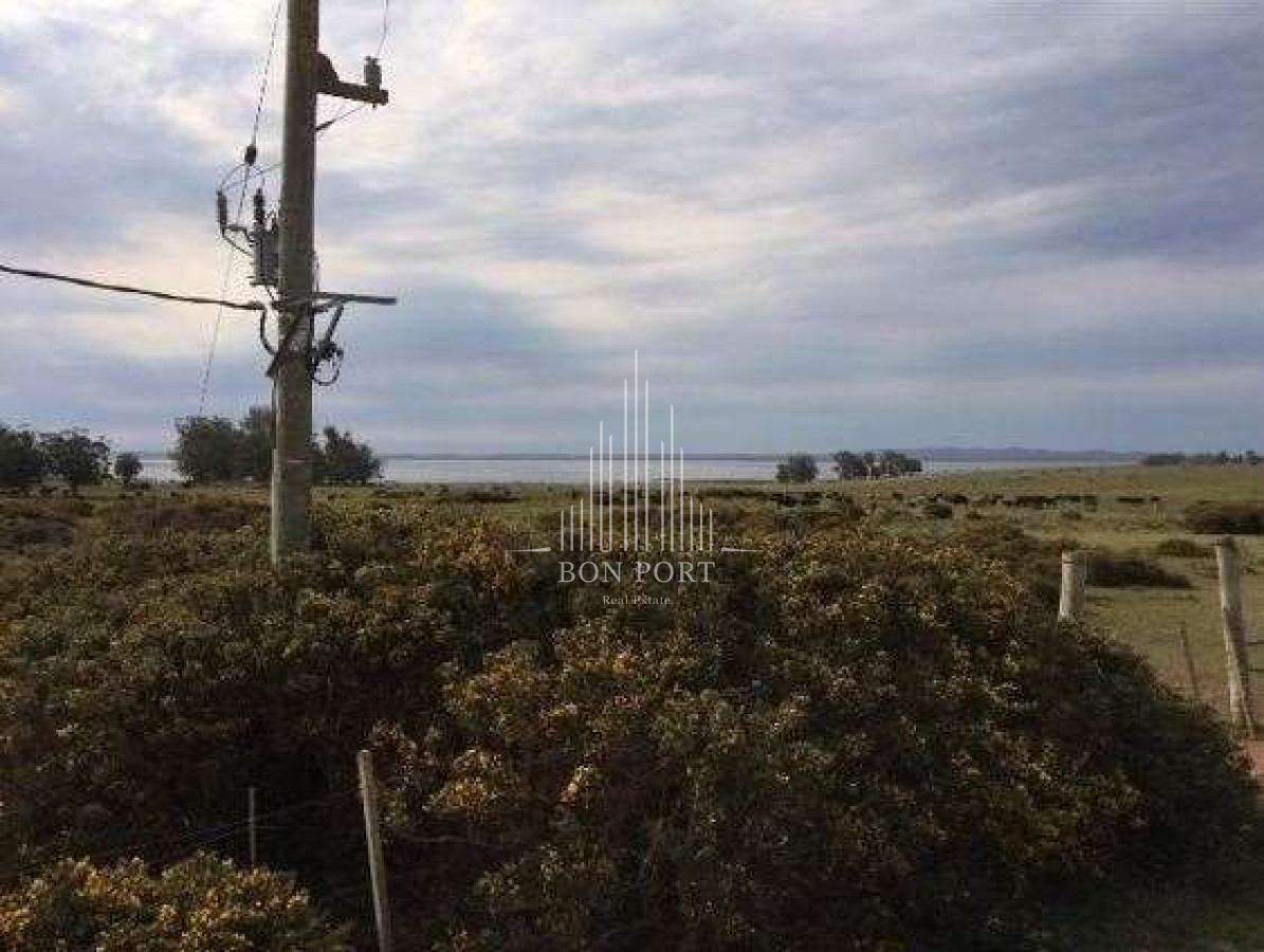 Campo Ref.307 - 207 Has Campo Ganadero