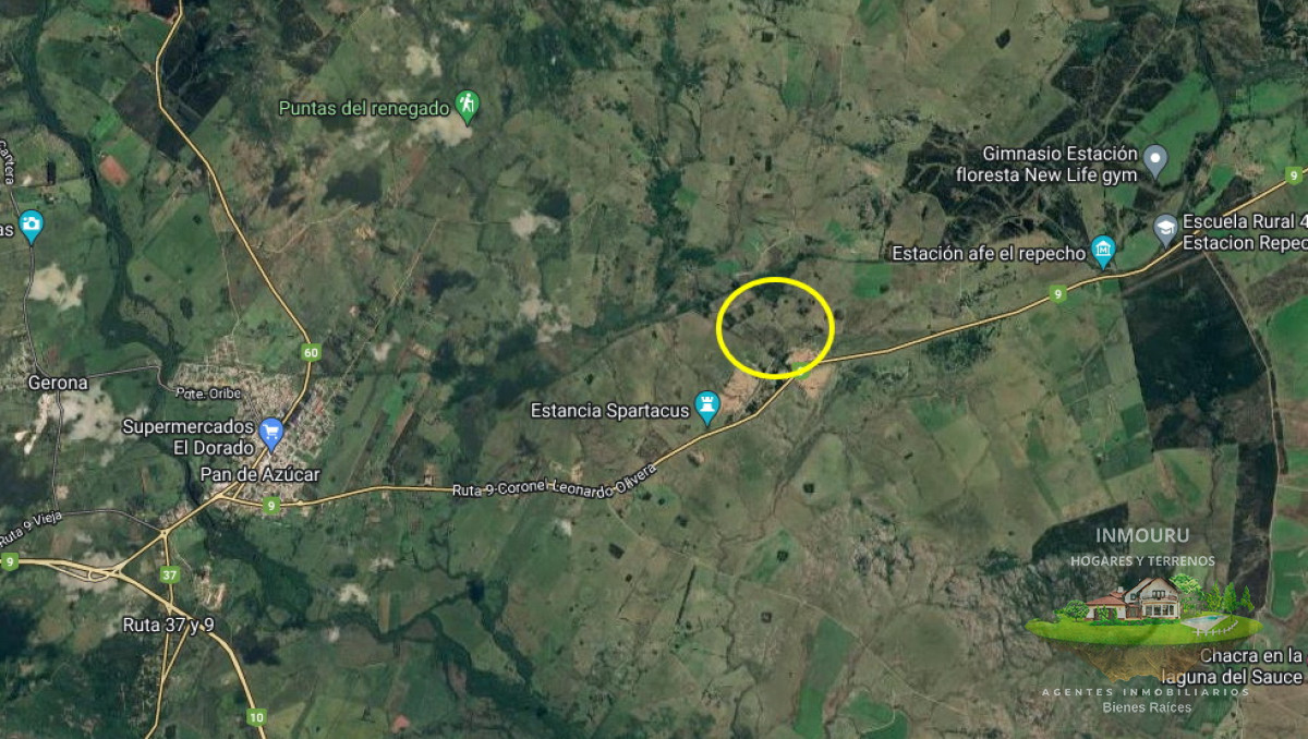 Chacra ID.982 - Vendo chacra ruta 9, cerca de Pan de Azúcar, Maldonado. A 45´ de Punta del Este. Financia.