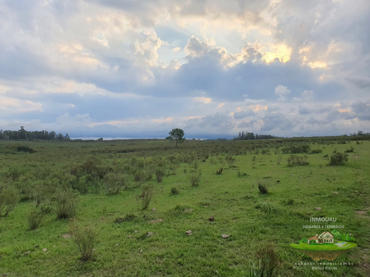Chacra ID.982 - Vendo chacra ruta 9, cerca de Pan de Azúcar, Maldonado. A 45´ de Punta del Este. Financia.
