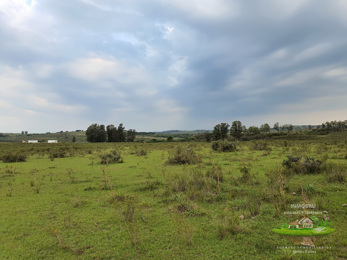 Chacra ID.982 - Vendo chacra ruta 9, cerca de Pan de Azúcar, Maldonado. A 45´ de Punta del Este. Financia.
