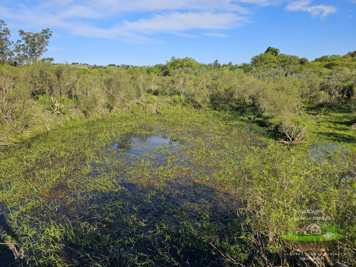 Chacra ID.982 - Vendo chacra ruta 9, cerca de Pan de Azúcar, Maldonado. A 45´ de Punta del Este. Financia.
