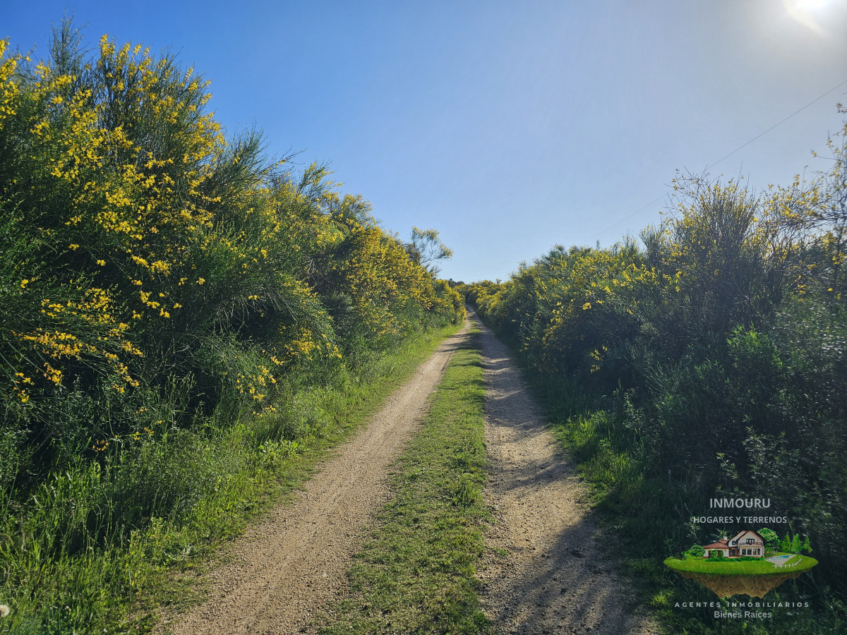 Chacra ID.982 - Vendo chacra ruta 9, cerca de Pan de Azúcar, Maldonado. A 45´ de Punta del Este. Financia.