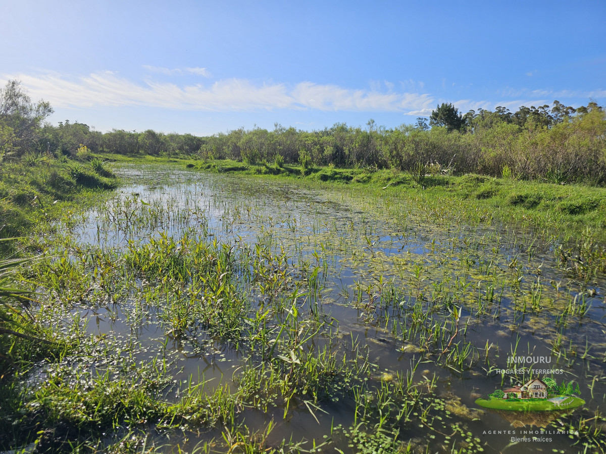Chacra ID.982 - Vendo chacra ruta 9, cerca de Pan de Azúcar, Maldonado. A 45´ de Punta del Este. Financia.