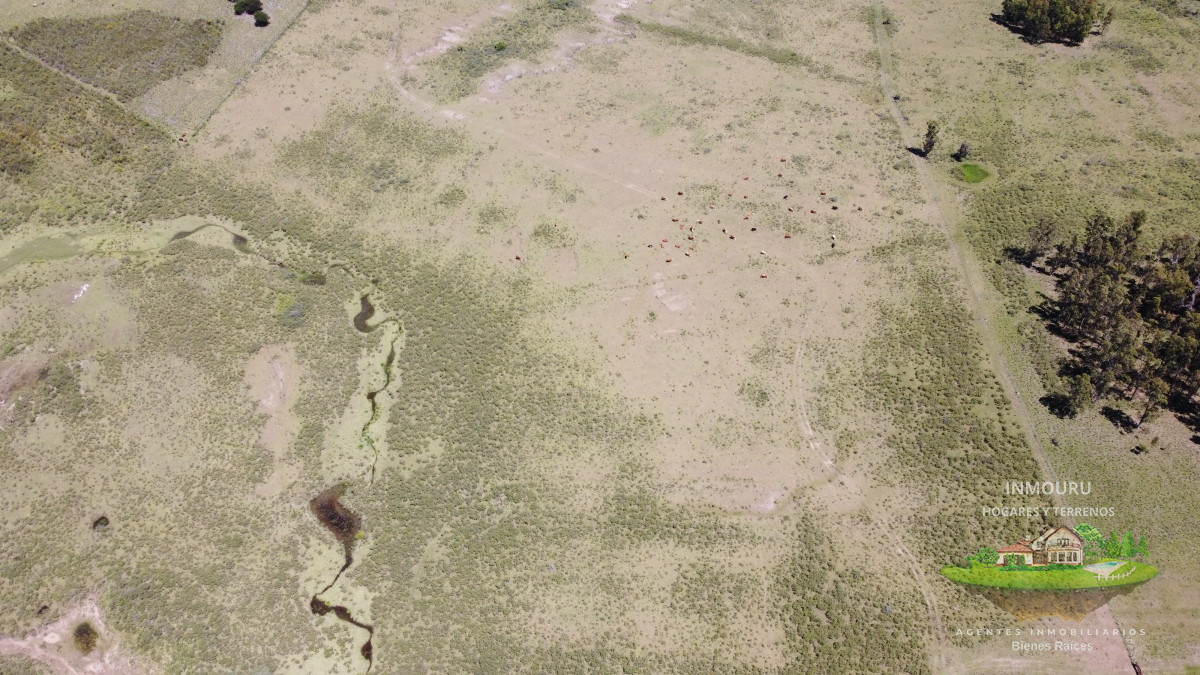 Chacra ID.982 - Vendo chacra ruta 9, cerca de Pan de Azúcar, Maldonado. A 45´ de Punta del Este. Financia.