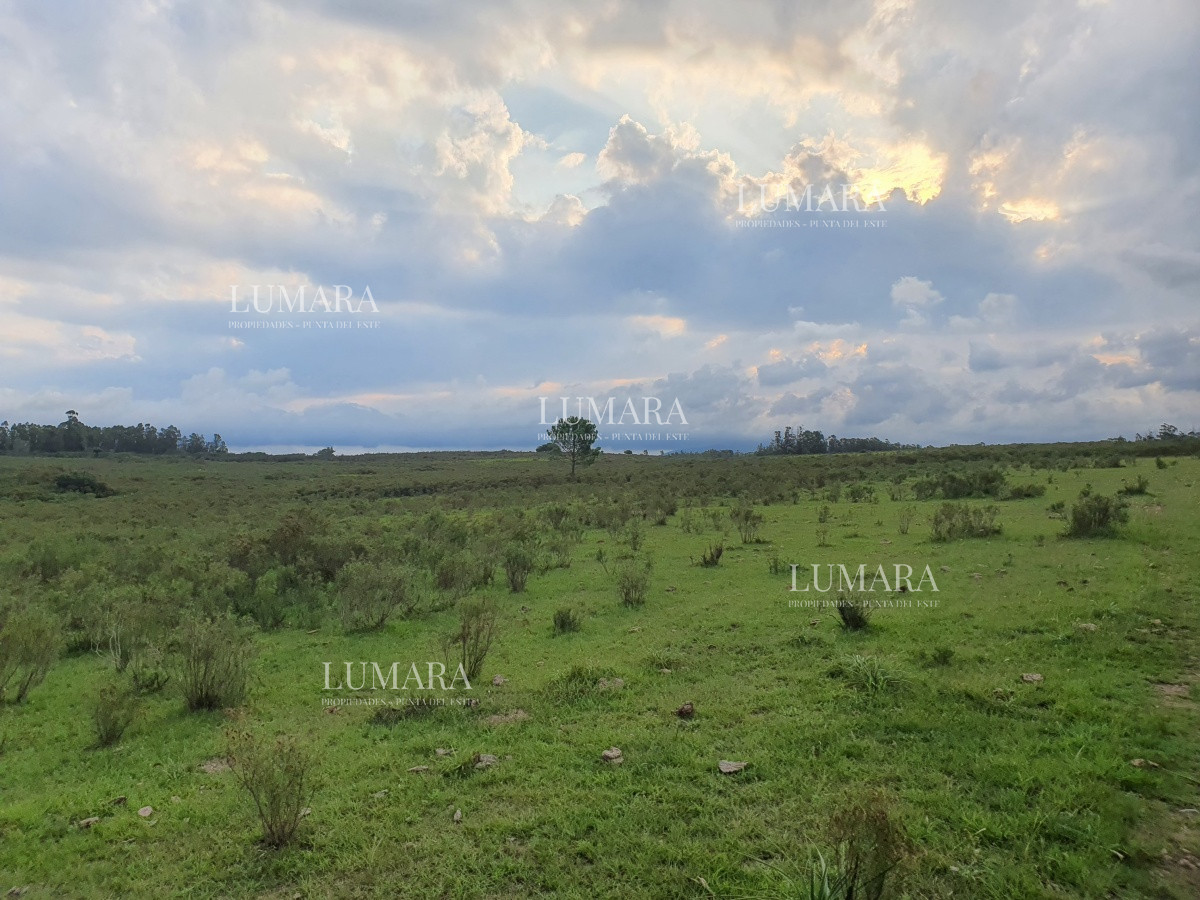 Chacra ID.3247 - Vendo chacra ruta 9, cerca de Pan de Azúcar, Maldonado. A 45´ de Punta del Este. Financia.