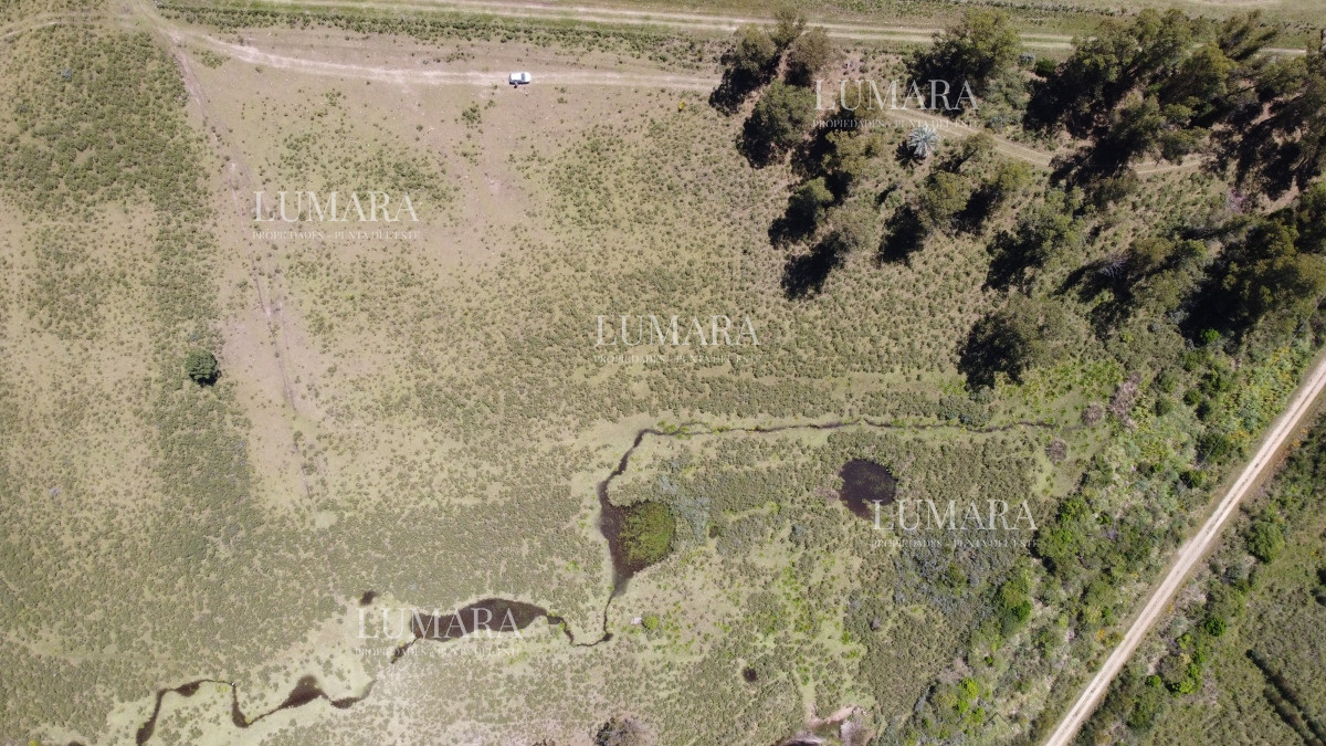 Chacra ID.3247 - Vendo chacra ruta 9, cerca de Pan de Azúcar, Maldonado. A 45´ de Punta del Este. Financia.